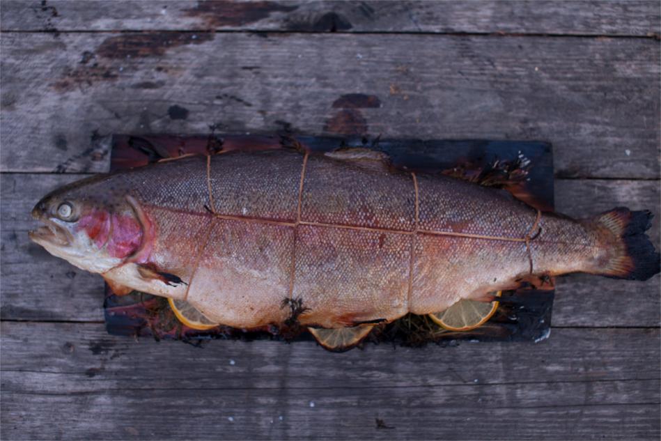 Cedar Planked Stuffed Steelhead