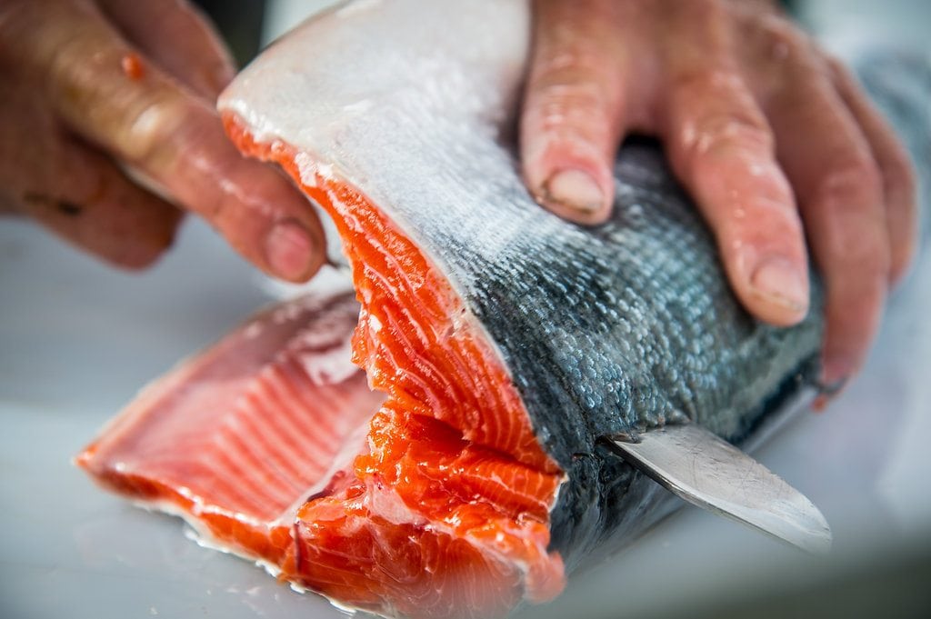 Copper River Salmon Filleting