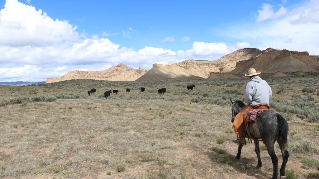 cowboy