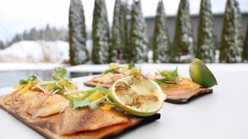 Alder Plank Tilapia