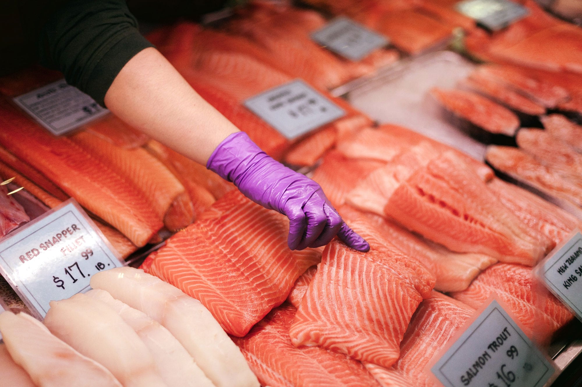 5 Types of Pacific Salmon Varieties