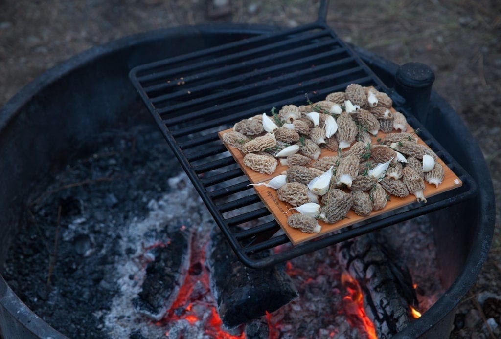 Alder Planked Morel Mushrooms with Thyme and Garlic